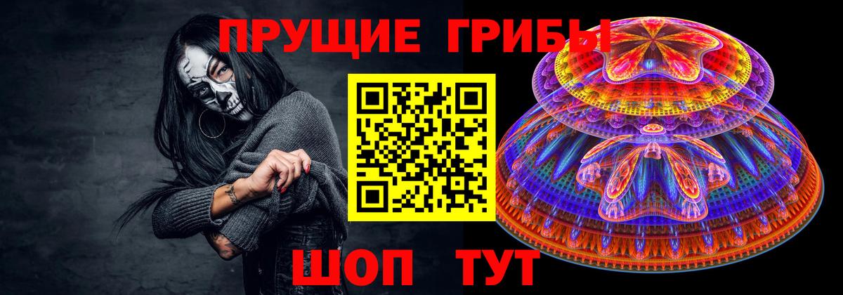 Галлюциногенные грибы Magic Shrooms  Вход с VPN  Галлюциногенные грибы Magic Shrooms  Усть-Илимск 